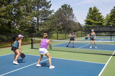 Pickleball Action at the Net clipart