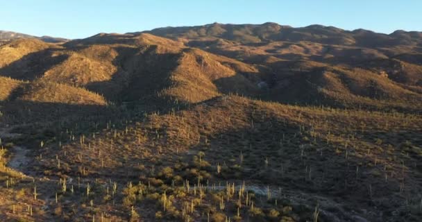 Low Angled Sun Casts Long Shadows Desert Hills Mountains Saguaro — Wideo stockowe