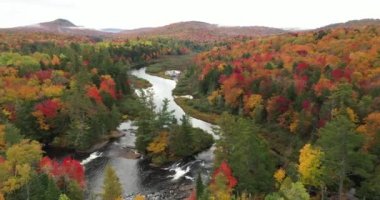 New York 'un kuzeyindeki Adirondack Park' taki Tupper Gölü yakınlarındaki Bog Nehri 'nin hava görüntüsü.