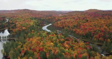 New York 'un kuzeyindeki Adirondack Park' taki Tupper Gölü yakınlarındaki Bog Nehri Şelalesi 'nin havadan görüntüsü.
