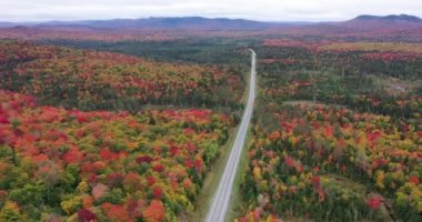 Eyalet otoyolu, New York 'un kuzeyindeki Adirondack Park' taki Panther Dağı Bataklığı yakınlarındaki Panter Gölü 'nü geçerek rengarenk sonbahar manzarasını ikiye böler..