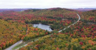 Eyalet otoyolu, New York 'un kuzeyindeki Adirondack Park' taki Panther Dağı Bataklığı yakınlarındaki Panter Gölü 'nü geçerek rengarenk sonbahar manzarasını ikiye böler..
