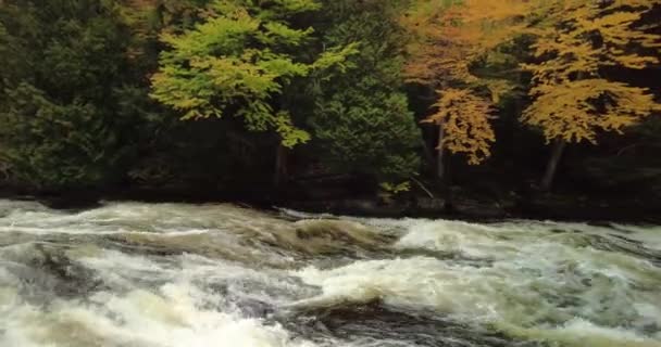 มมองของน าตกบ ตเตอร ใบไม วงท สวยงามใกล ทะเลสาบยาวใน Adirondacks ของร วยอร — วีดีโอสต็อก