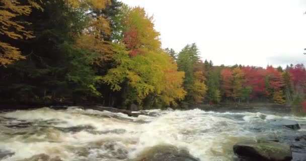 在纽约州北部的阿第伦达克附近的长湖 你可以看到美丽的秋天牛奶瀑布 — 图库视频影像