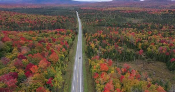 Jalan Raya Negara Irisan Melalui Bentang Alam Musim Gugur Yang — Stok Video
