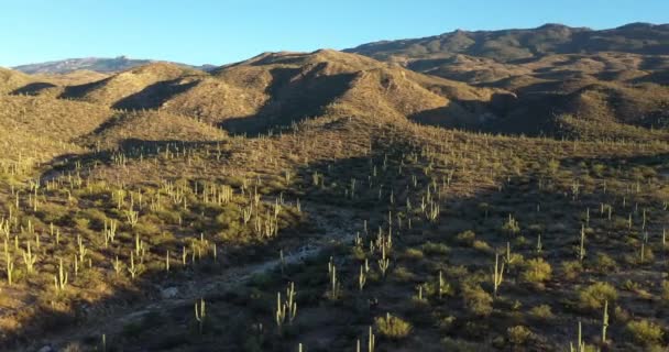Αεροφωτογραφία Του Τοπίου Κοντά Στο Εθνικό Πάρκο Saguaro Λίγο Πριν — Αρχείο Βίντεο