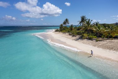 Anguilla adasında dalgalar ve palmiye ağaçlarıyla birlikte Shoal Bay Sahili 'nin sularında yürüyen bir kadın..