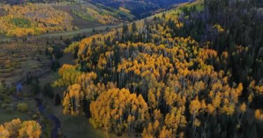 Dağın manzarası. 7. Bölge Yolu boyunca San Juan Dağları 'ndaki sineklikler Ridgway, Colorado yakınlarındaki sonbahar aylarında altın kavak ağaçlarını gösteriyor..