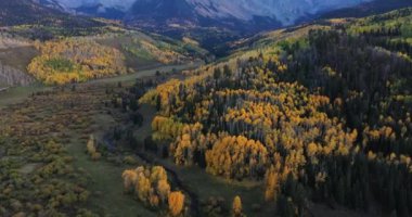 Dağın manzarası. 7. Bölge Yolu boyunca San Juan Dağları 'ndaki sineklikler Ridgway, Colorado yakınlarındaki sonbahar aylarında altın kavak ağaçlarını gösteriyor..