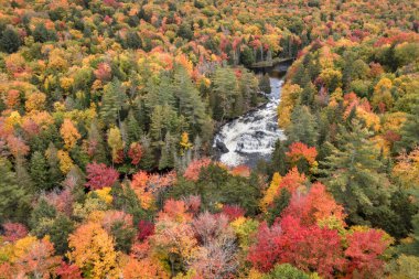 Sonbahar boyunca New York 'un kuzeyindeki Adirondacks' ta, Long Lake yakınlarında güzel sonbahar renkleriyle Buttermilk Şelaleleri 'nin hava manzarası..