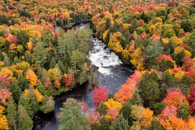Sonbahar boyunca New York 'un kuzeyindeki Adirondacks' ta, Long Lake yakınlarında güzel sonbahar renkleriyle Buttermilk Şelaleleri 'nin hava manzarası..