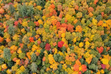 Adirondack Yorumlama Merkezi 'nin New York' un kuzeyinde sonbaharın doruk noktasında yukarıdan aşağı hava görüntüsü.