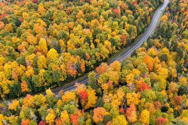 New York 'un kuzeyindeki Adirondack Park' taki Placid Gölü yakınlarında 86 numaralı karayolu boyunca bir araba sürüyor..