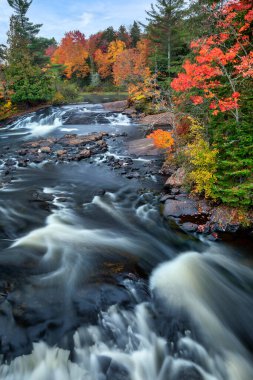 Adirondack Park 'taki Bog River Şelalesi New York' un kuzeyinde sonbaharın en yoğun olduğu dönemde Büyük Tupper Gölü 'ne akar..