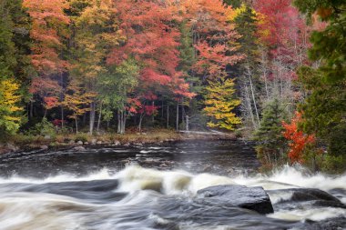 Sonbahar boyunca New York 'un kuzeyindeki Adirondacks' ta Long Lake yakınlarındaki Raquette Nehri boyunca uzanan güzel sonbahar renkleriyle Buttermilk Şelaleleri 'nin hava manzarası..
