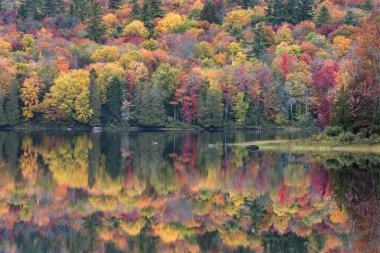 Sonbahar yemekleri, sonbahar boyunca New York 'un kuzeyindeki Adirondack Park' taki Harris Gölü 'nde renkli bir manzara sağlar..