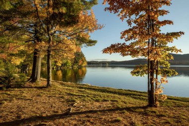 Renkli ağaçlar, New York 'un kuzeyindeki Adirondack Park' taki Eaton Gölü 'nün kıyı şeridi boyunca canlı sonbahar renklerini yansıtıyor..