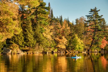 Renkli ağaçlar, New York 'un kuzeyindeki Adirondack Park' taki Eaton Gölü 'nün suları boyunca canlı sonbahar renklerini yansıtıyor..
