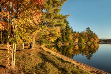 Renkli ağaçlar, New York 'un kuzeyindeki Adirondack Park' taki Eaton Gölü 'nün kıyı şeridi boyunca canlı sonbahar renklerini yansıtıyor..