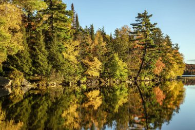 Renkli ağaçlar, New York 'un kuzeyindeki Adirondack Park' taki Eaton Gölü 'nün kıyı şeridi boyunca canlı sonbahar renklerini yansıtıyor..