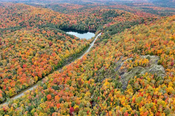 New York 'un kuzeyindeki Adirondack Park' taki Panther Dağı Bataklığı yakınlarındaki Panter Gölü boyunca renkli sonbahar manzarası boyunca bir yol kesilir..