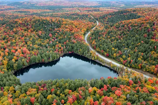 New York 'un kuzeyindeki Adirondack Park' taki Panter Dağı Bataklığı 'nın yakınındaki Panter Gölü' nü geçerek rengarenk sonbahar manzarasını ikiye bölen bir yol var..