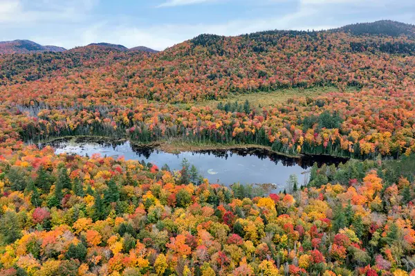 New York 'un taşrasında sonbahar boyunca Adirondack Yorumlama Merkezi' nin hava manzarası.