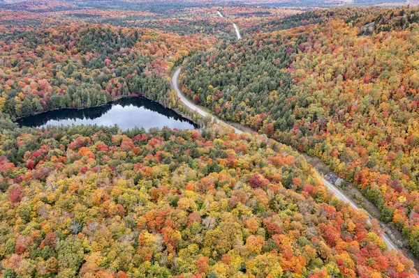 New York 'un kuzeyindeki Adirondack Park' taki Panter Dağı Bataklığı 'nın yakınındaki Panter Gölü' nü geçerek rengarenk sonbahar manzarasını ikiye bölen bir yol var..