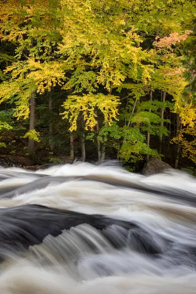 New York 'un kuzeyindeki Adironadack Park' taki Raquette Nehri 'nde renkli bir sonbahar ormanı olan Buttermilk Şelalesi boyunca çağlayanlar akıyor..