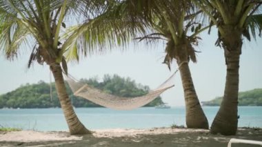 Hamak tropikal rahatlatıcı plajda iki hindistan cevizi palmiyesinin arasına asılmış. Lüks ve güzel ada manzarasında huzurlu bir tatil. Açık mavi turkuaz deniz suyu. Tatil havasında dinlenme yeri