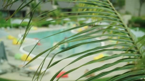 Rüzgarda Savrulan Palmiye Yaprağı Arka Planda Lüks Bir Havuz Kaplıcası — Stok video