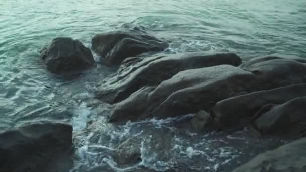 Calm Sea Water Swirl Dark Rocks Tropical Island Crabs Stones — Stock Video