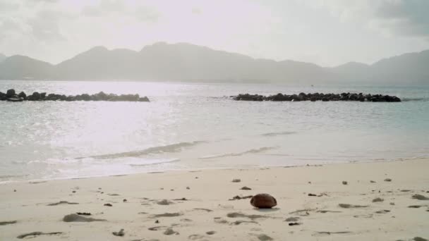Coco Solitario Lavado Playa Tropical Con Océano Isla Fondo Día — Vídeos de Stock