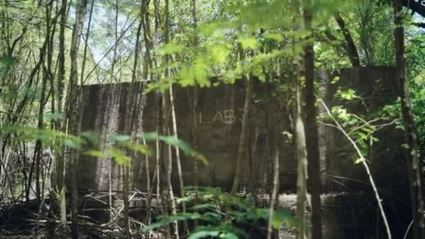 Σκυροδέματος Κατασκευή Κτίριο Ένα Δάσος Lab Κείμενο Γραμμένο Στον Τοίχο — Αρχείο Βίντεο