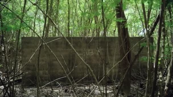Opuštěná Stará Laboratorní Budova Uprostřed Tropické Zelené Džungle Záhadná Betonová — Stock video