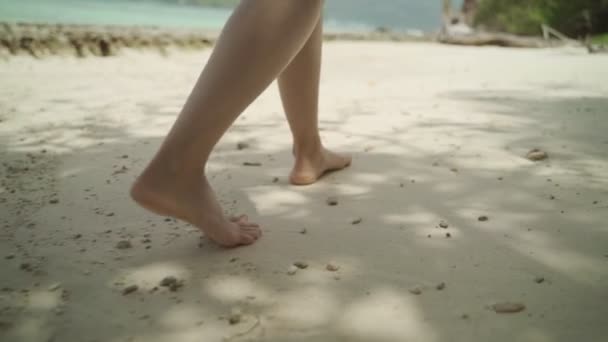 Närbild Fötterna Kvinna Promenader Sandstrand Tropisk Semester Kvinnliga Ben Trampar — Stockvideo