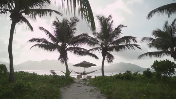 Hamak Wiszący Między Palmami Kokosowymi Tropikalnej Wyspie Podczas Wakacji Promenada — Wideo stockowe