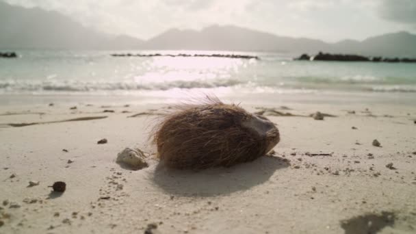 在热带岛屿的沙滩上清洗椰子 背景为大海 棕色椰子果实在海岸上休息 背面是波涛汹涌的群山和岛屿 炎热的日子里 阳光在水边照耀着 — 图库视频影像