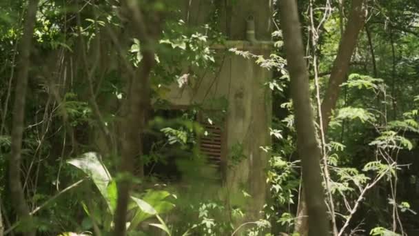 Elhagyott Beton Épület Vagy Ház Közepén Vastag Trópusi Erdőben Rejtélyes — Stock videók