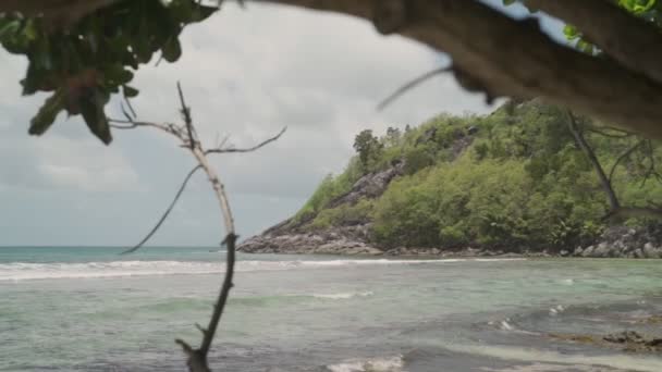 Praia Isolada Privada Tranquila Ilha Tropical Com Pequena Baía Árvores — Vídeo de Stock