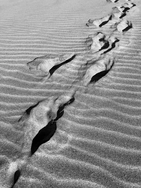 Windblown Footprints Criss Cross Fine Sands Dunes Creating Beautiful Structure — Stock Photo, Image