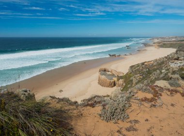 Portekiz, Porto Covo yakınlarındaki Rota Vicentina sahilinde okyanus dalgaları ve keskin kaya ve yeşil bitki örtüsüyle Praia dos Aivados kumsal manzarası