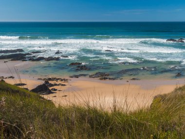 Portekiz, Vila Nova de Milfontes yakınlarındaki Rota Vicentina sahilinde okyanus dalgaları, taş, ıslak altın kum ve yeşil bitki örtüsü ile boş Praia dos Picos plajı manzarası