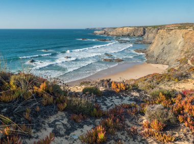 Okyanus dalgaları, uçurumlar ve taşlarla dolu boş Praia da Arquinha plajı, Portekiz Zambujeira do Mar yakınlarındaki vahşi Rota Vicentina sahilinde ıslak altın kum ve yeşil bitki örtüsü