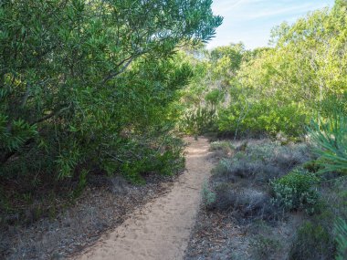Kumlu patika, yoğun yeşil Akdeniz bitkilerinin arasından geçiyor. Mavi ve yeşil Balıkçı izleri var. Güzel sahil yürüyüş rotası, kumlu sahilleri, deniz kayalıklarını ve bitki örtüsünü karıştırır.