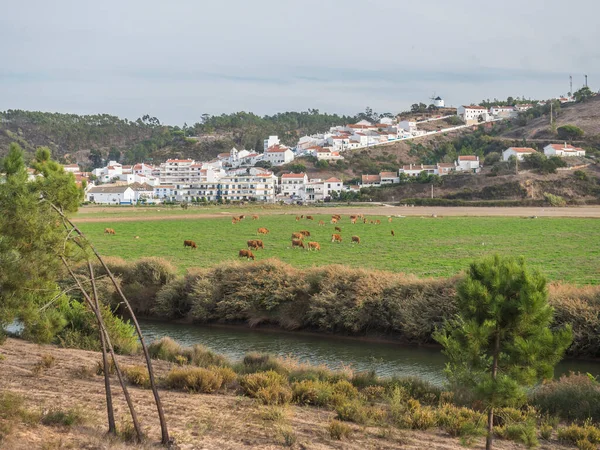 Ampla Vista Aldeia Odeceixe Com Muitas Vacas Campo Localizado Alentejo — Fotografia de Stock