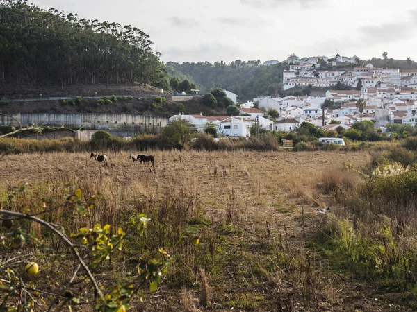 Vista Odeceixe Casas Brancas Aldeia Tradicional Campo Grama Com Cavalos — Fotografia de Stock