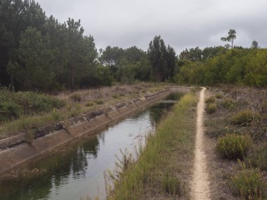 Su sulama kanalı boyunca yürüyüş yolu Rota Vicentina. Çam ağaçları ve yeşil çalılar.