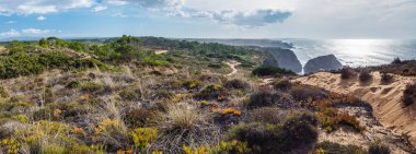 Deniz kıyısındaki kayalıkların panoramik manzarası ve yeşil bitki örtüsüyle kaplanmış kumullar çiçek açan deniz taşları, ekşi incir yaprakları ve güneşli okyanusta Rota Vicentina 'daki çam ağaçları.