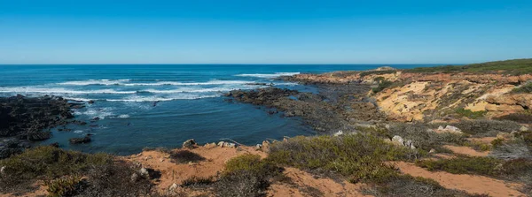 Panoramic view of sea shore, wild Rota Vicentina coast with ocean waves, sharp rock and green and red leaves of sour fig flower near Vila Nova de Milfontes, Portugal. Sunny day, blue sky